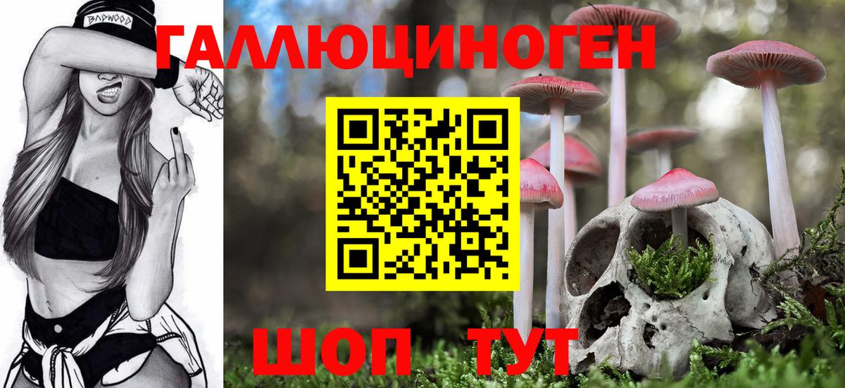 Галлюциногенные грибы Cubensis  Вход с VPN  Нурлат 